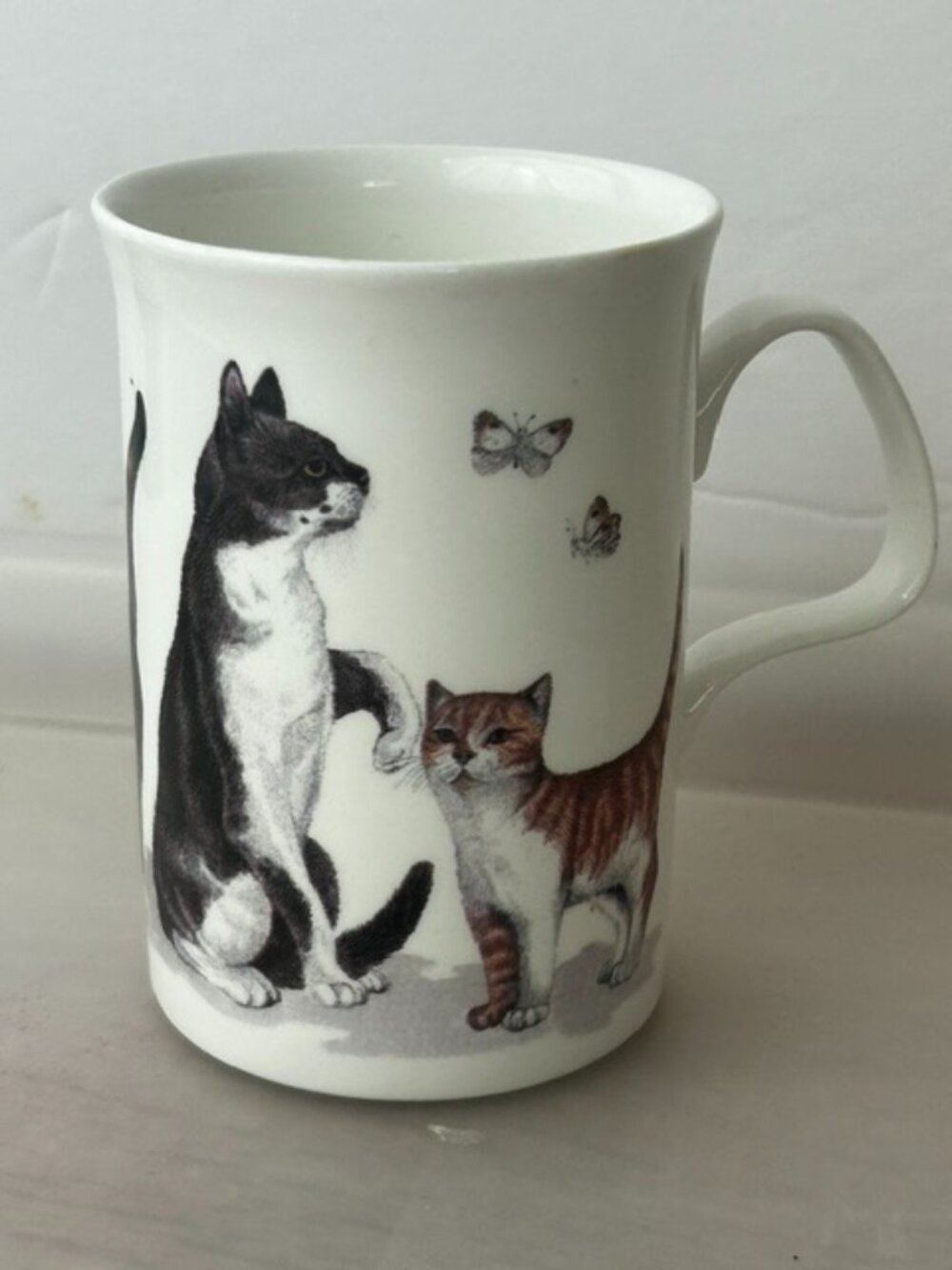 Roy Kirkham Bone China Cat Lovers Mug